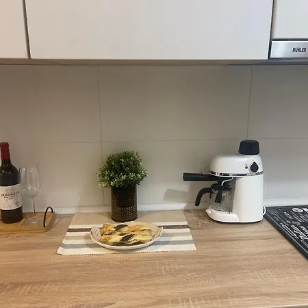 Apartament Elegant Loft *